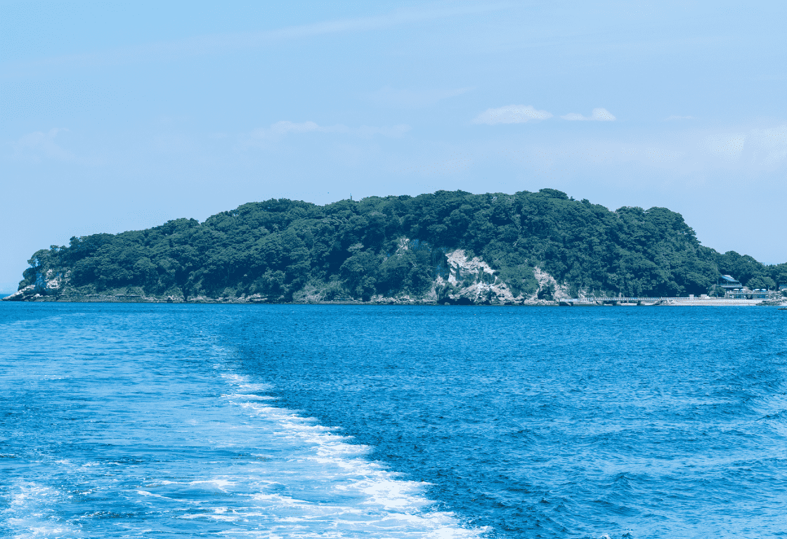 猿島航路(株式会社トライアングル)